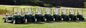 Golf Buggies